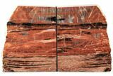 Tall, Arizona Petrified Wood Bookends - Red & Black #195140-2